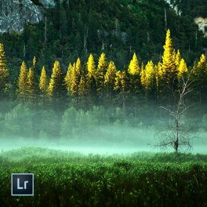 Lightroom CC 2015