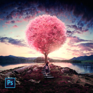 Photoshop CC 2015 A2