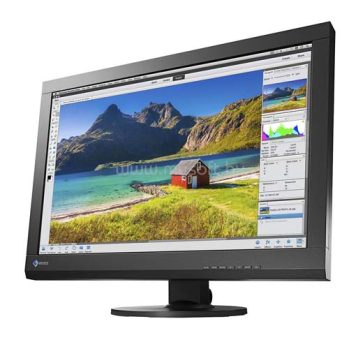 EIZO CS2420 original
