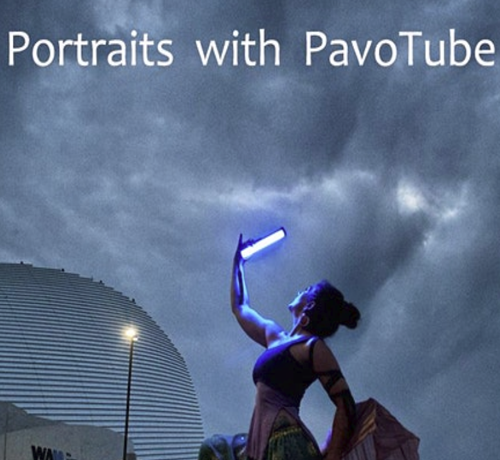 Pavo
