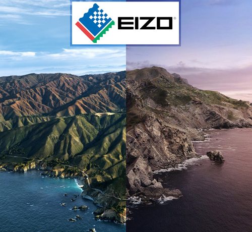 Eizo Big Sur Catalina