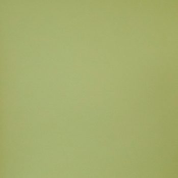 superior13tropicalgreenseamlesspaperbackground2.72x11m