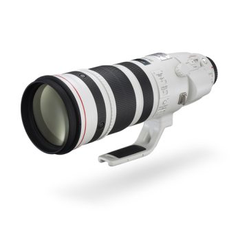 Canon EF200-400EXT14 EF200-400mm f/4L IS USM with Ext 1.4x