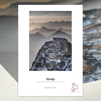 Hemp